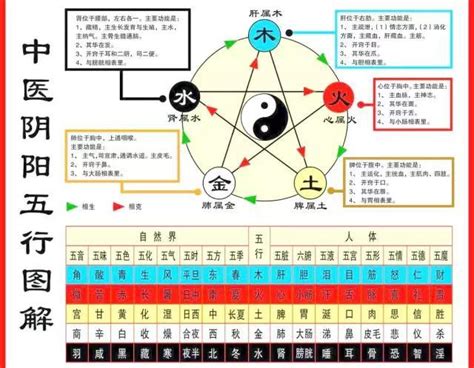 佳五行屬什麼